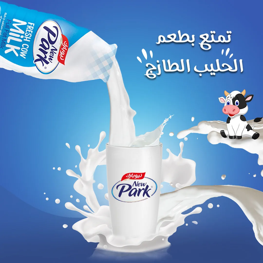 حليب التوحيد البلدي الطازج 1 لتر